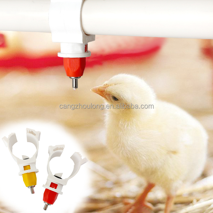 Chicken Nipple Drinker - YYW LM44 Hot Sale Farm Use
