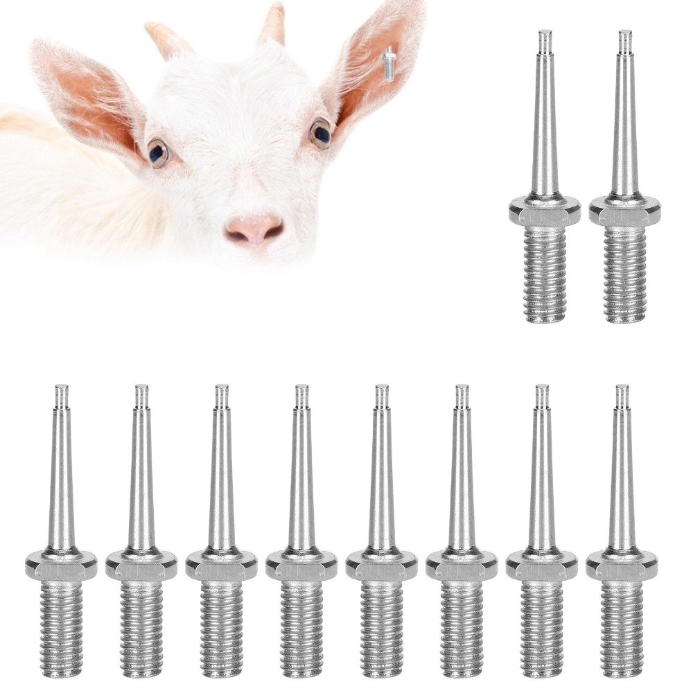 10Pcs Practical Stainless Stee - Livestock Ear Tag review and price