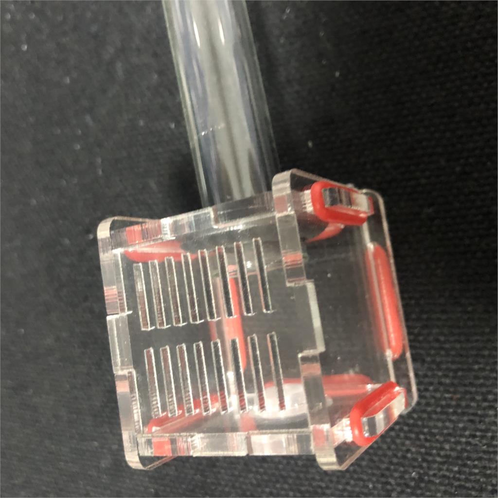 New Mini 1pcs Glass Tubes Ant  - Farming Zone review and price
