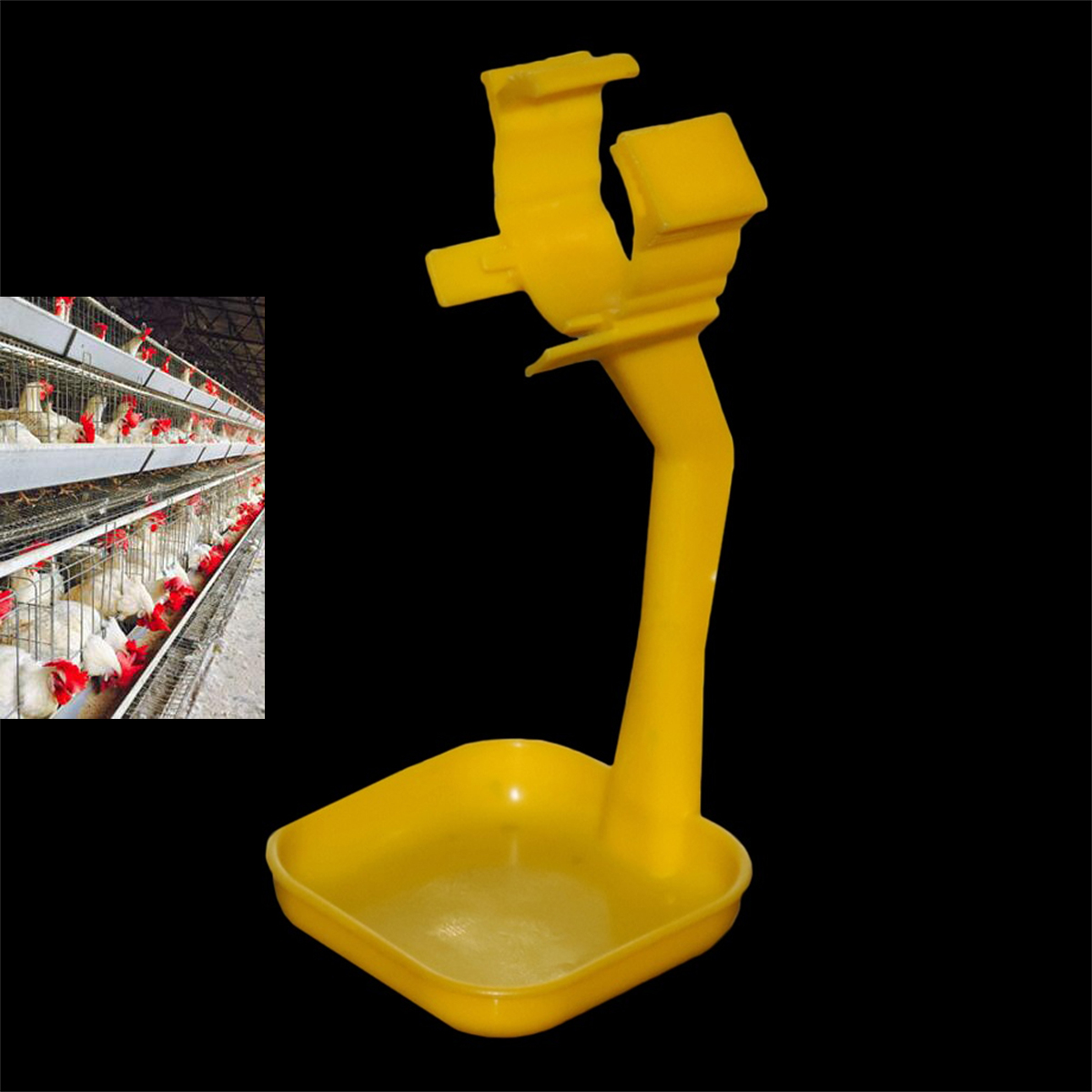40Pcs Chicken Duck Hanging Cup - Chicken Nipple Drinker review and price