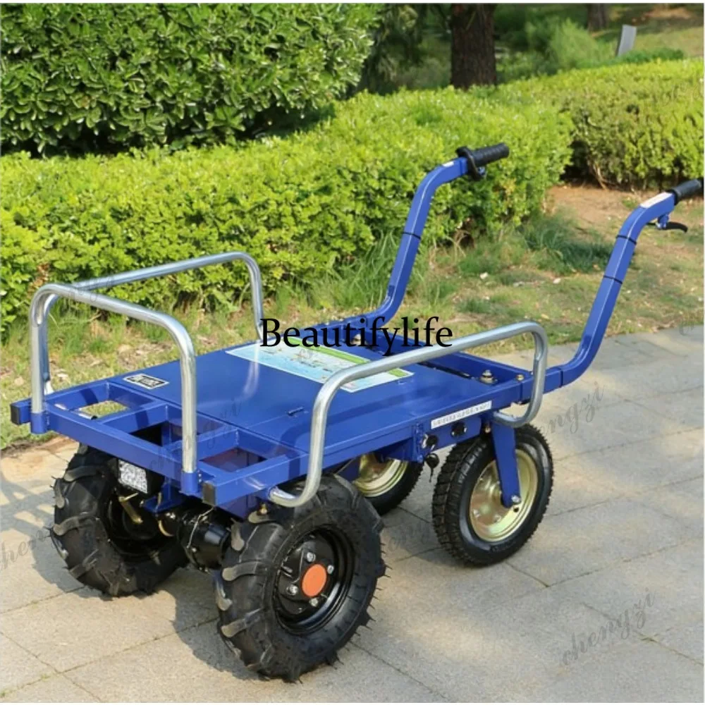 a55  Electric Tricycles and Fo - Agriculture Farming And Livestock review and price