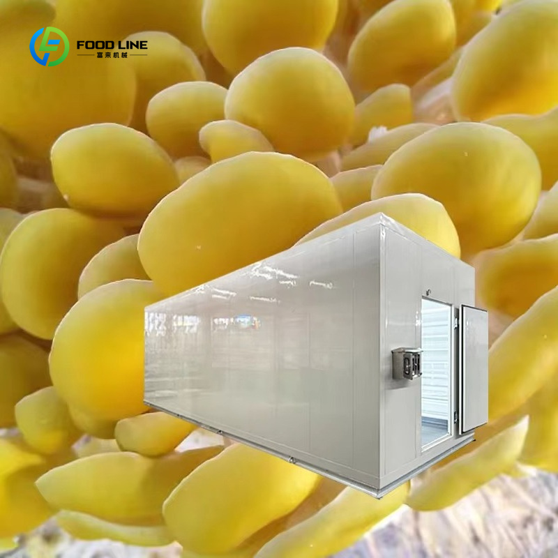 Smart Mushroom Growing Capsule - Agriculture Farming New Technology review and price