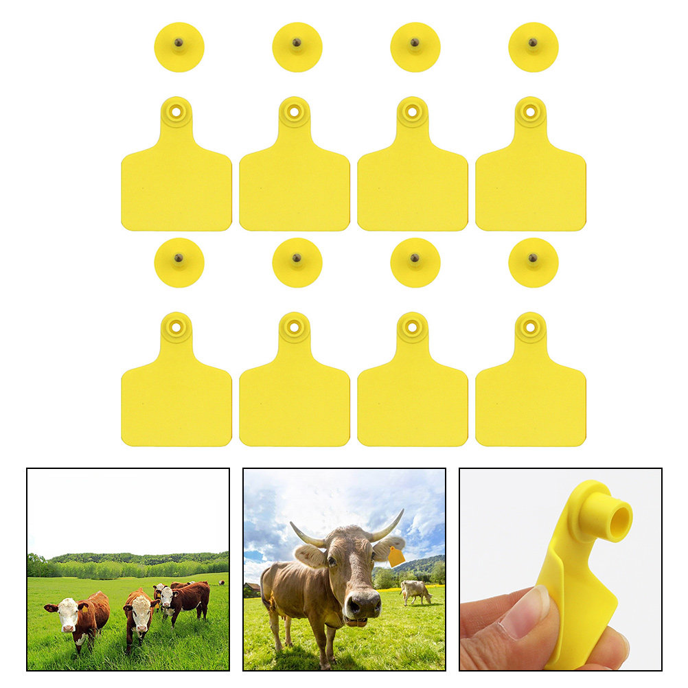 100Pcs Cow Ear Tag Blank Plast - Livestock Ear Tag review and price