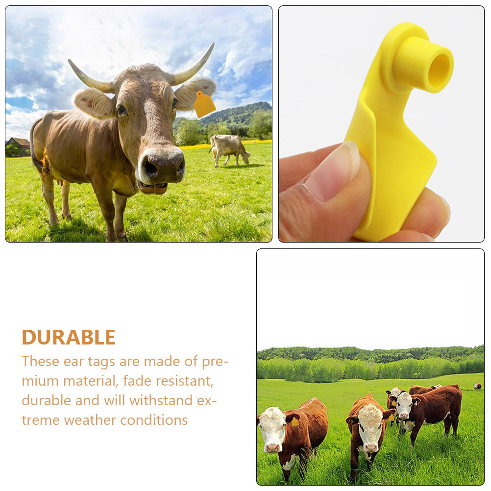100Pcs Cow Ear Tag Blank Plast - Livestock Ear Tag review and price