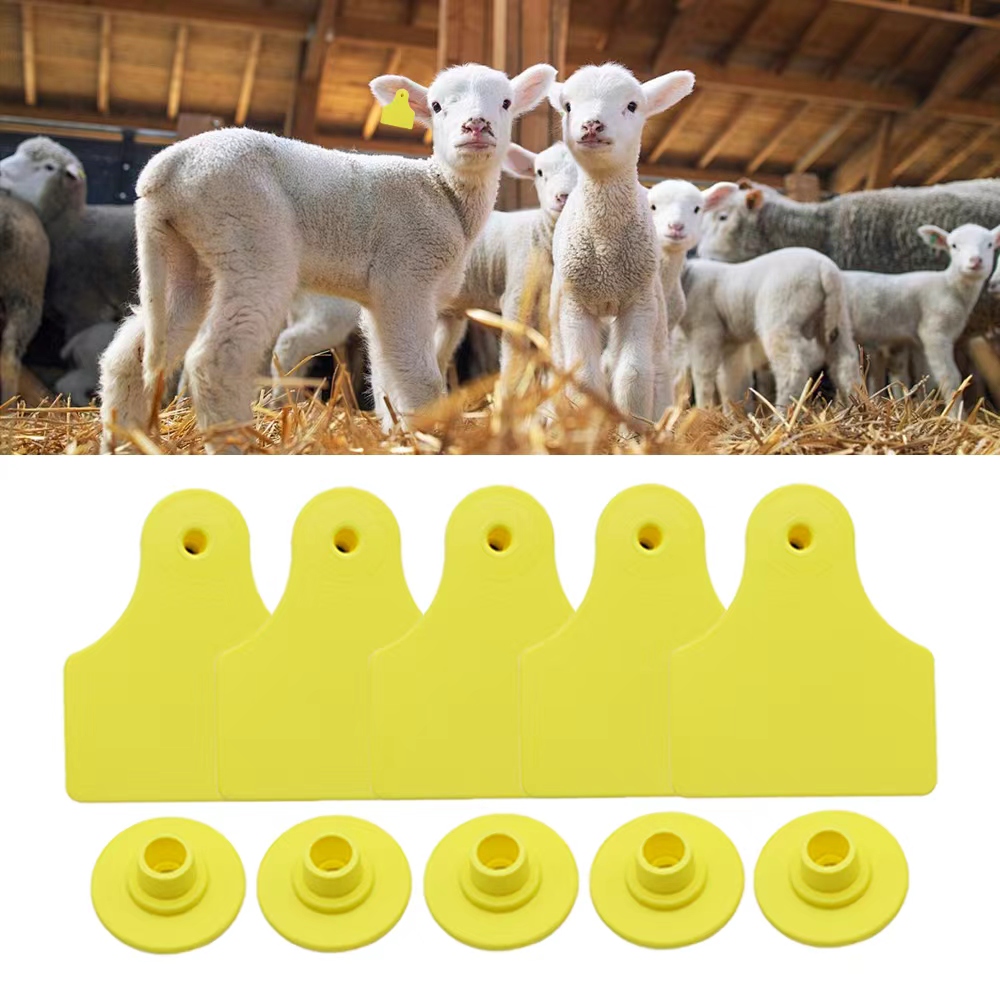 20 Pcs 40*50mm Goats Sheep Cat - Livestock Ear Tag review and price