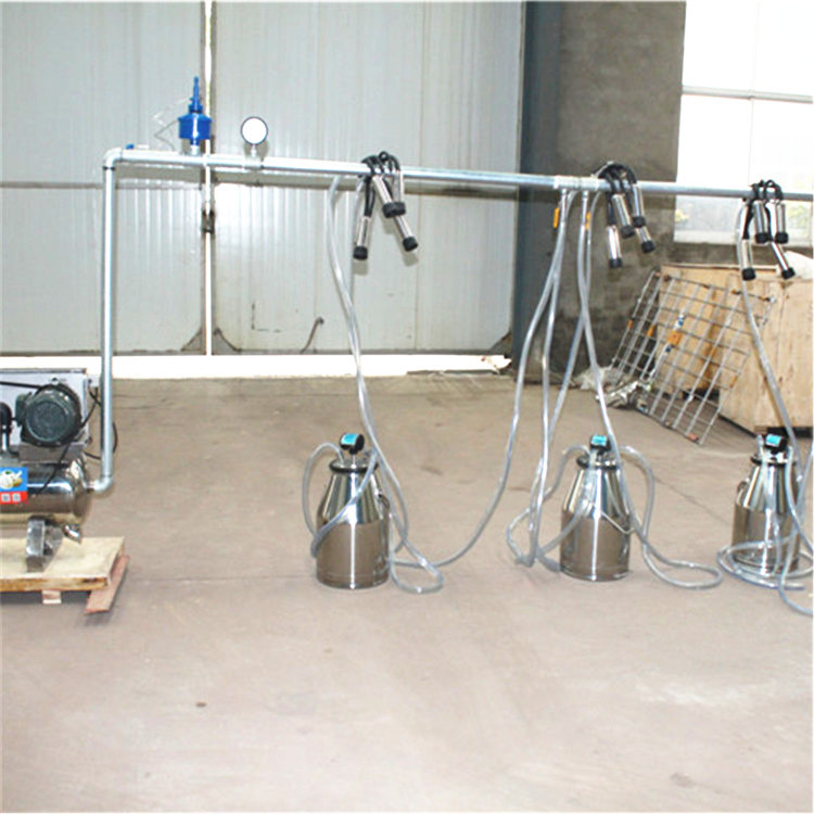 Milking Machine, Fixed System  - Farming System & Sustainable Agriculture review and price