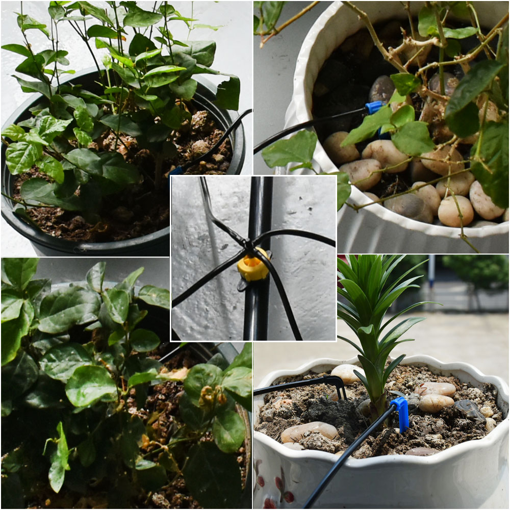 Greenhouse Potted Curved Arrow - Irrigation Drip Tape review and price