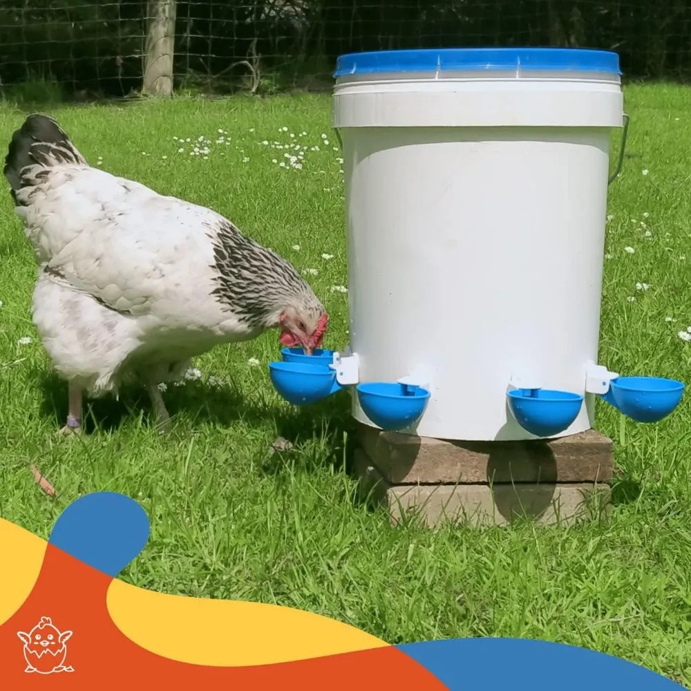 5PCS Poultry Kit Automatic Chi - Chicken Nipple Drinker review and price