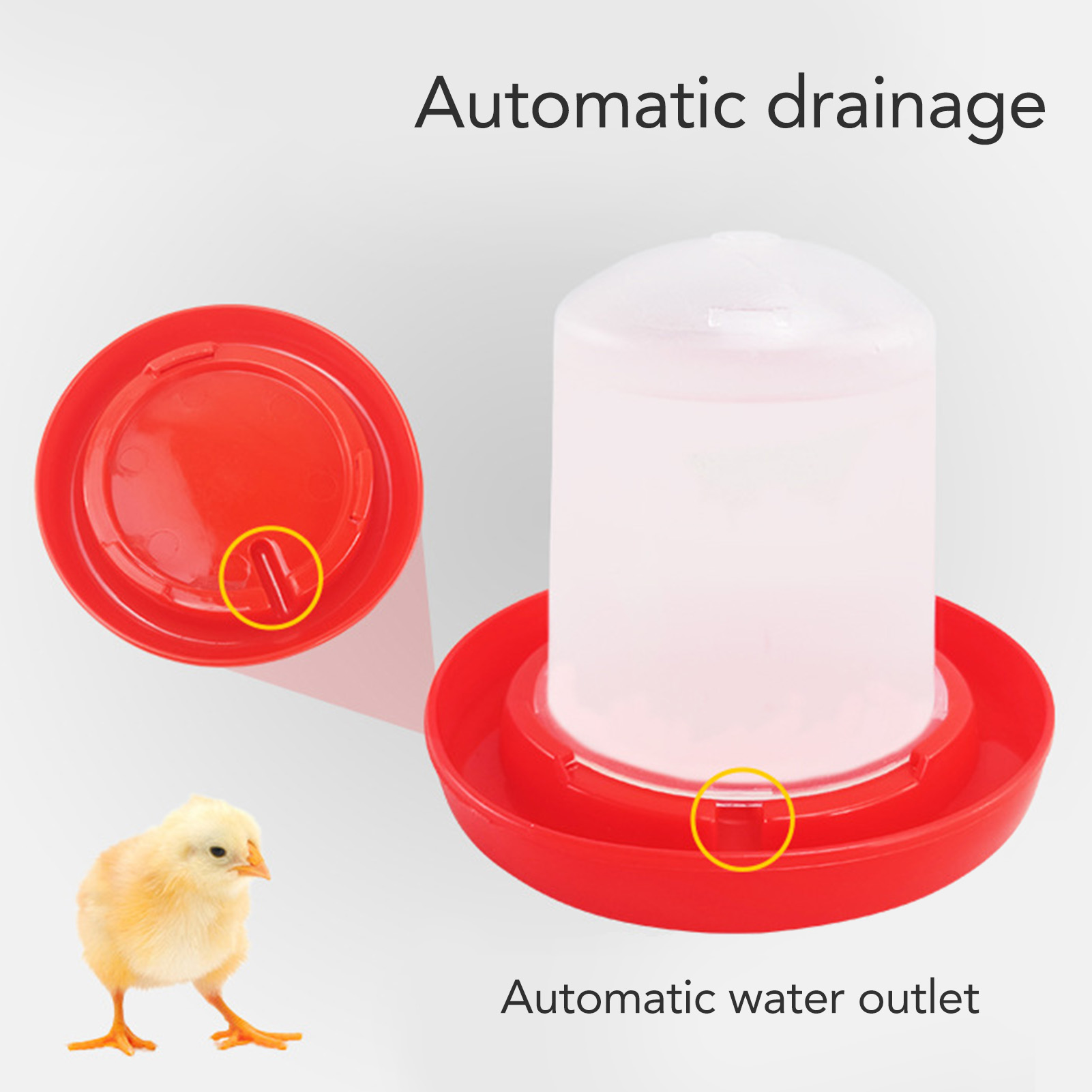 Chick Feeder and Waterer Kit R - Chicken Nipple Drinker review and price