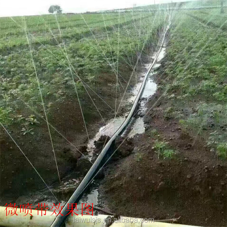 16mm PE Drip Tape Irrigation K - Irrigation Drip Tape review and price