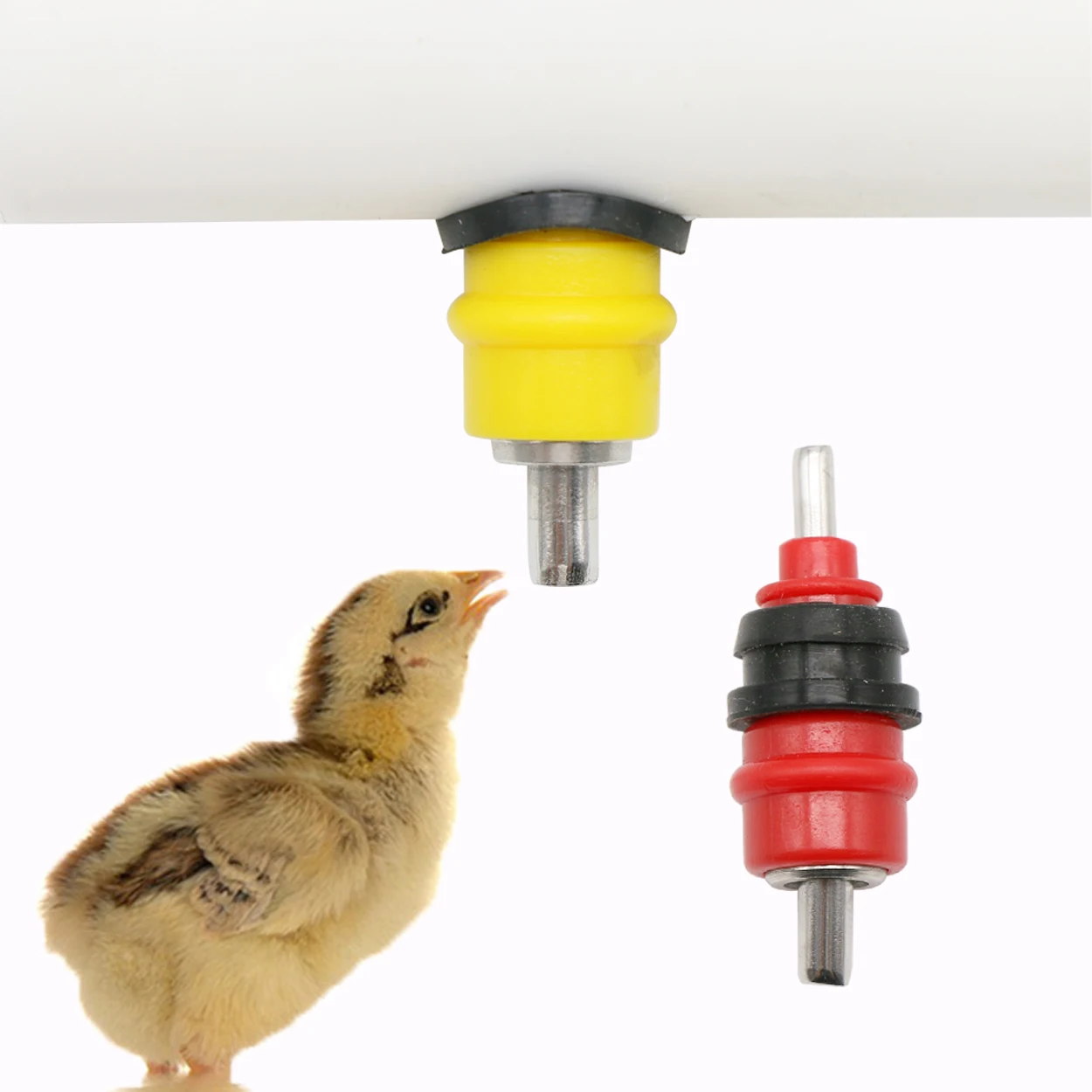 10Pcs Quail Pigeon Bird Watere - Chicken Nipple Drinker review and price