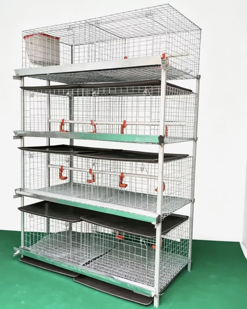 New H Type Broiler Chicken Cag - Farming System & Sustainable Agriculture review and price